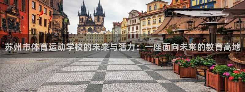 MK体育官方正版app集团E.ON:苏州市体育运动学校的未来