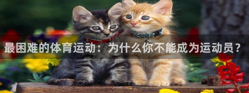 MK体育官网下载招商电话地址查询