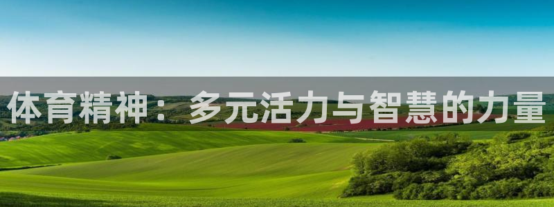 MK体育官方正版app娱乐平台