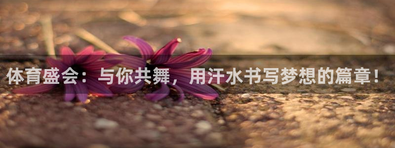 MK体育官方正版app娱乐