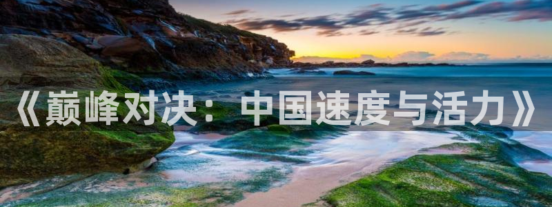 MK体育官网下载招商电话是多少:《巅峰对决:中国速度与活力》